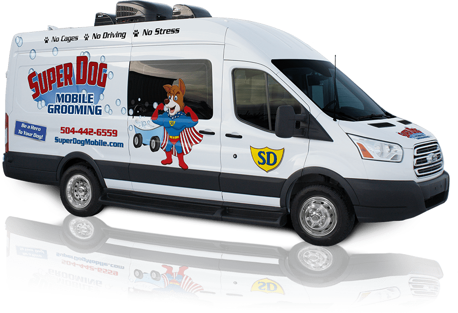  Dog Grooming Mobile Service in the world Don t miss out 